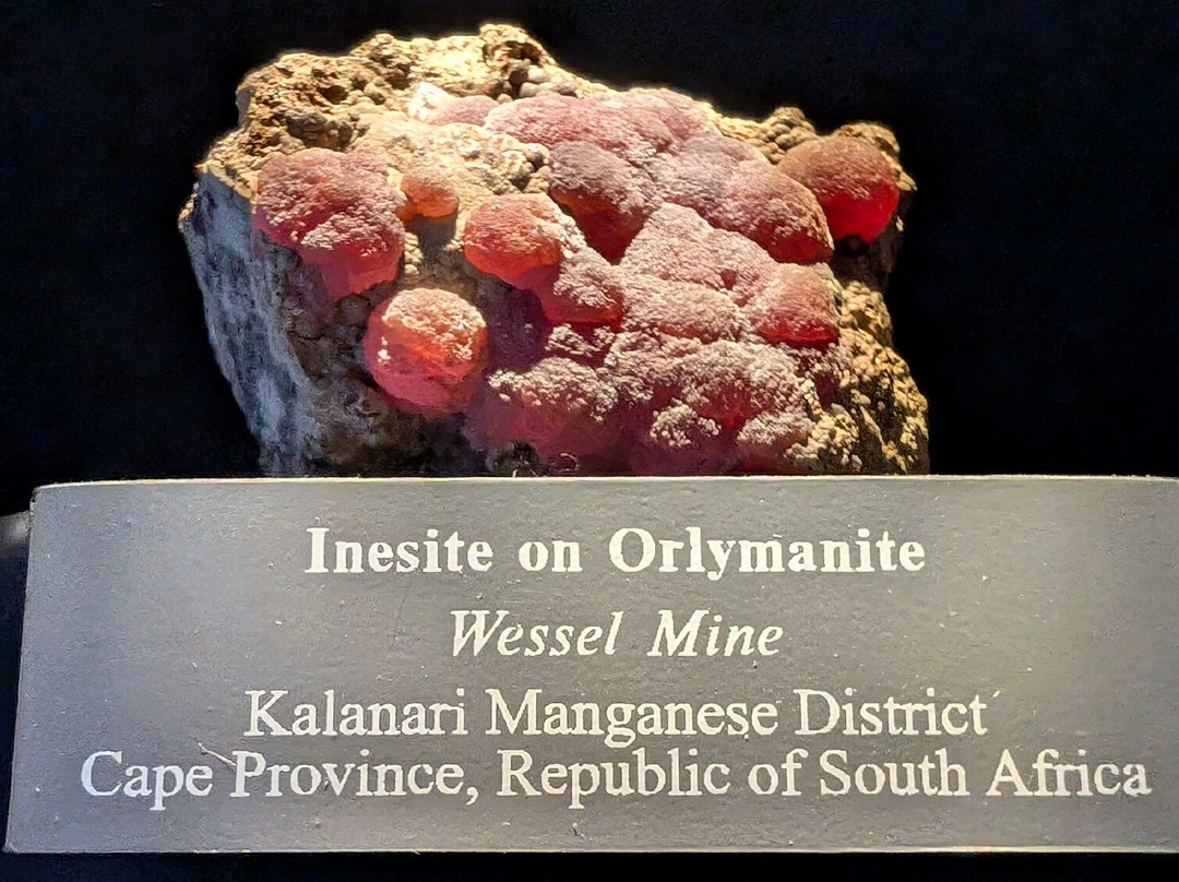 莱曼众议院纪念馆-希洛必去景点