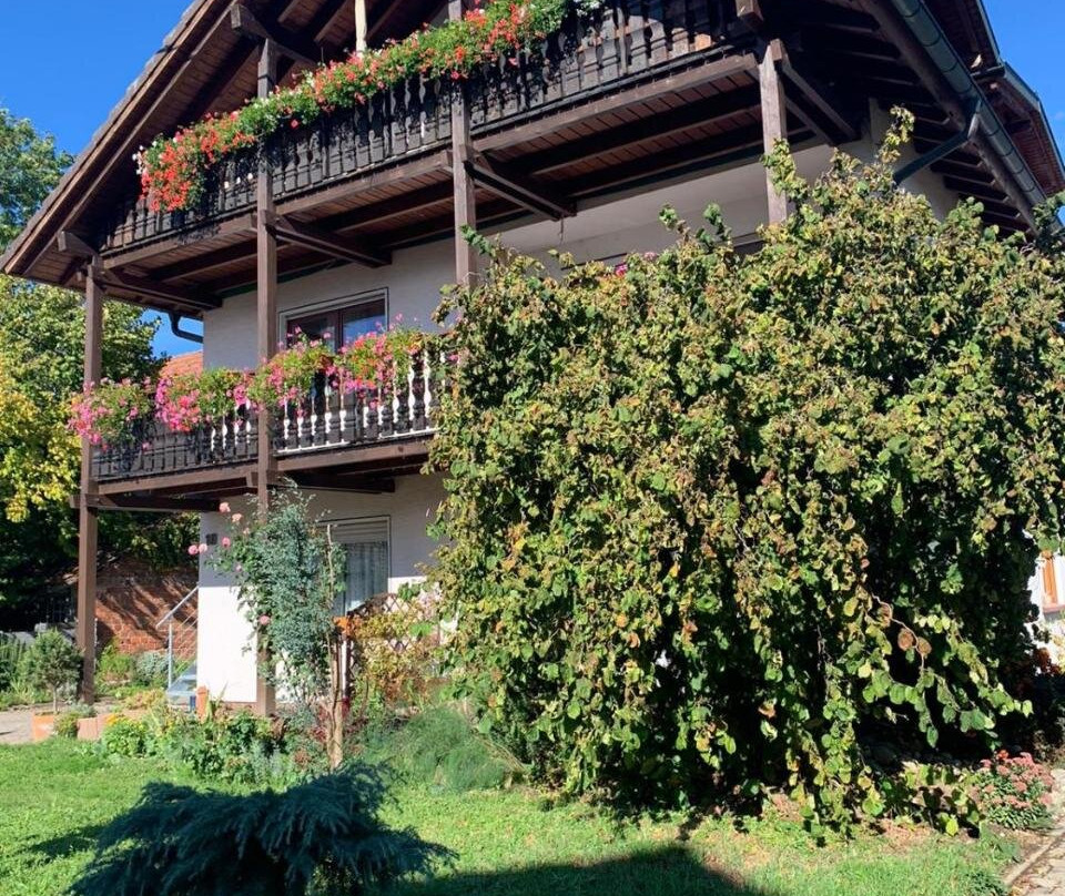 Gästehaus Zum Rhein