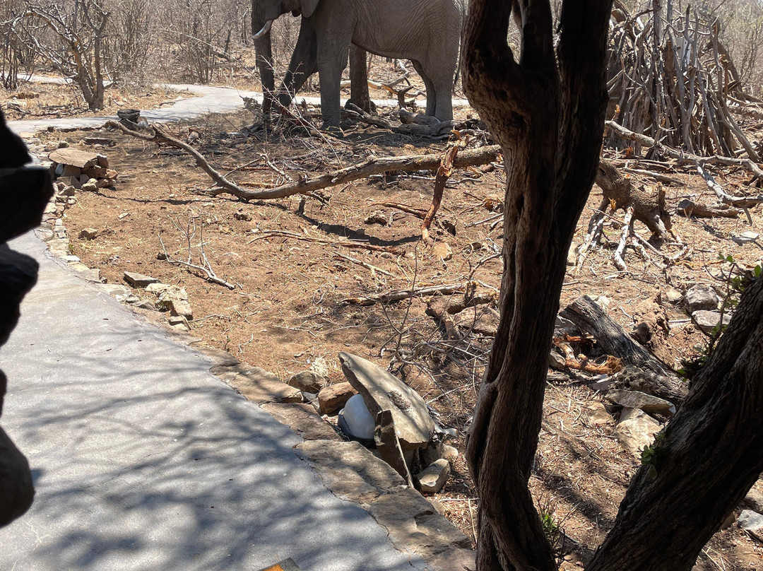 因博迪莫游戏小屋主图