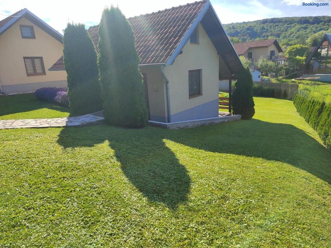 Garden 022