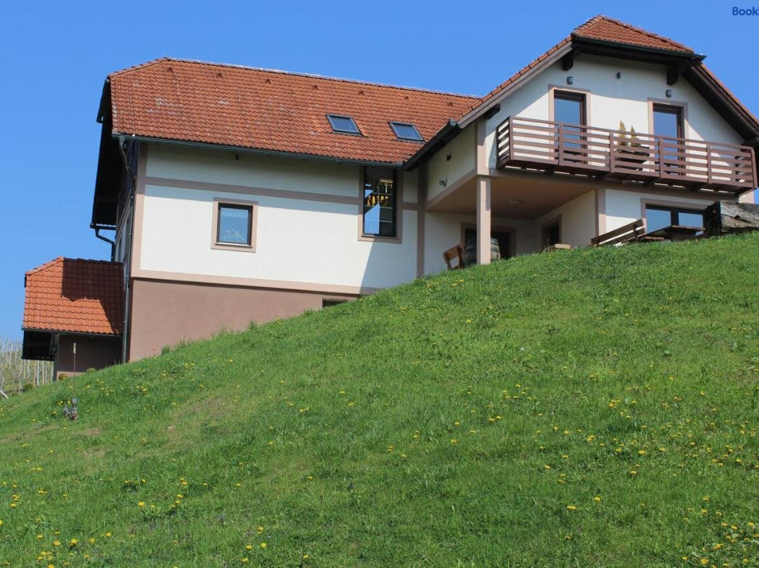 Zgornja Kungota酒店住宿-Vdovic Guest House