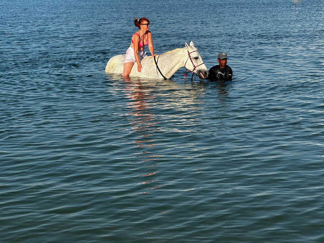 JA Equestrian Centre-杰贝阿里必去景点