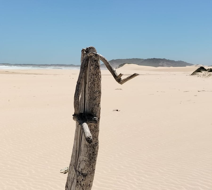 Oyster Bay Lodge主图