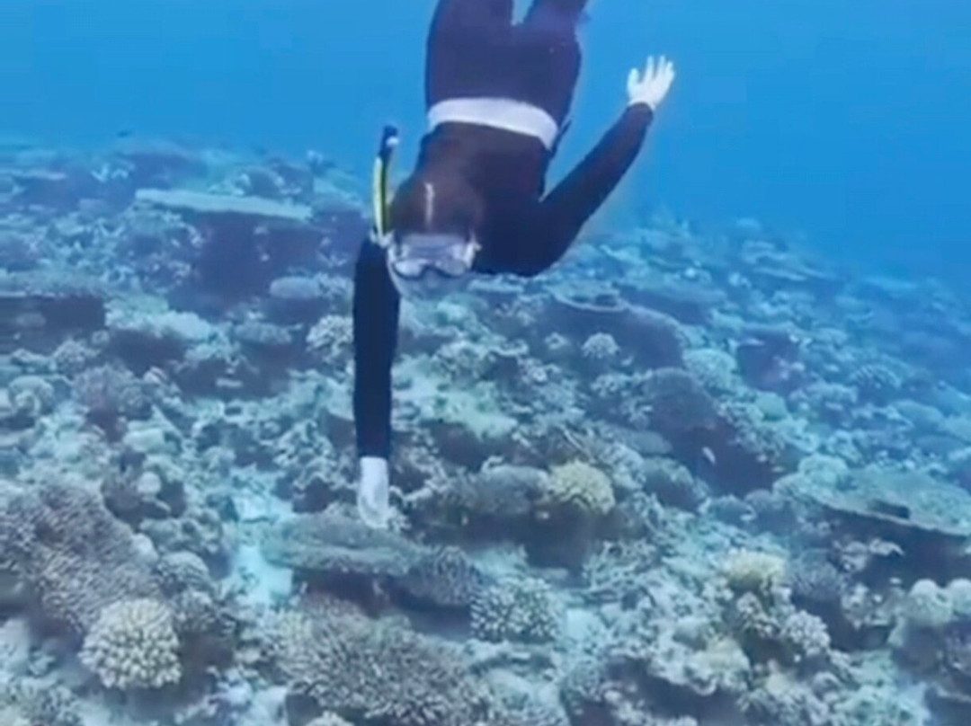 Murakabay Maldives Dive Center景点图片