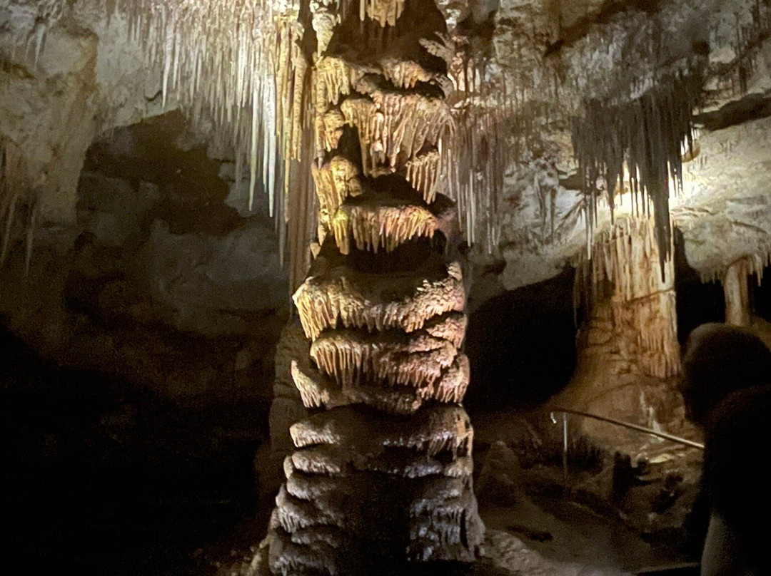 Tantanoola Caves Conservation Park-Tantanoola必去景点