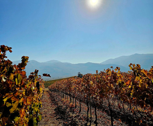 Crama Velo-Odobesti必去景点