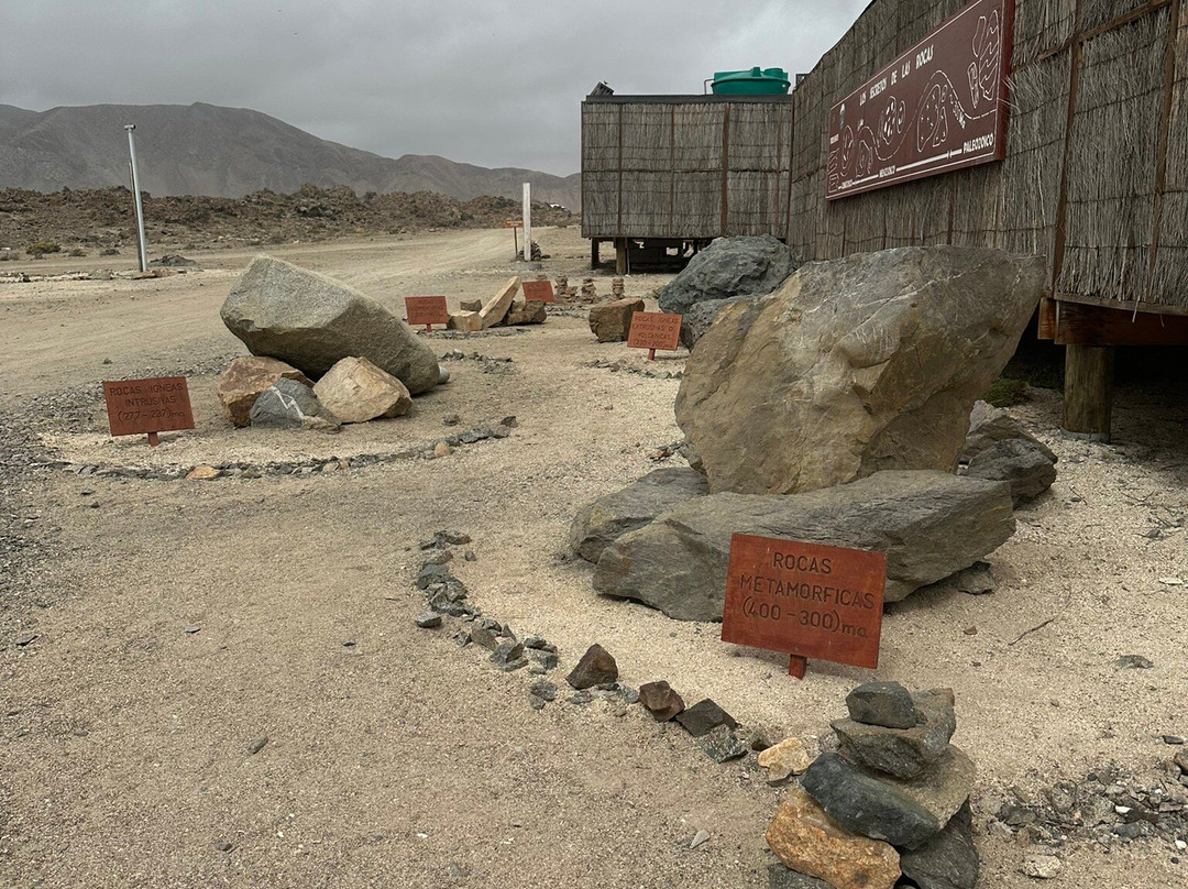Pan de Azucar National Park-Chanaral必去景点