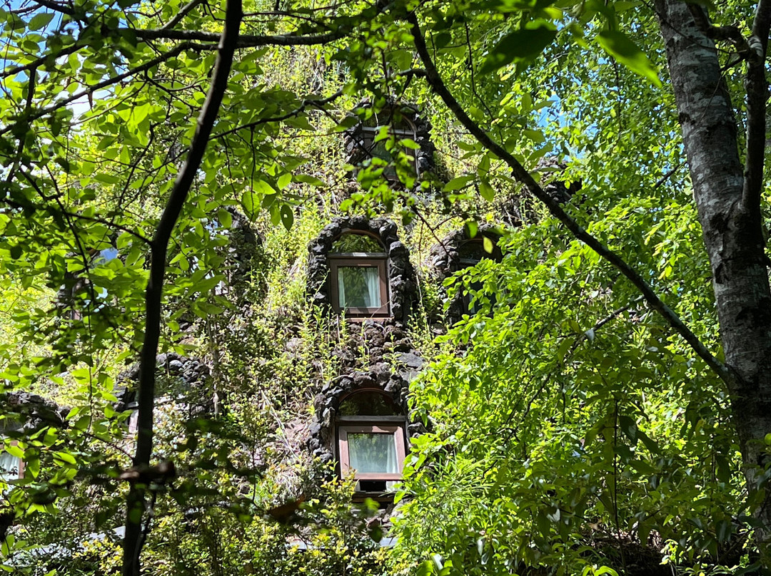 Huilo Huilo Nothofagus Hotel主图