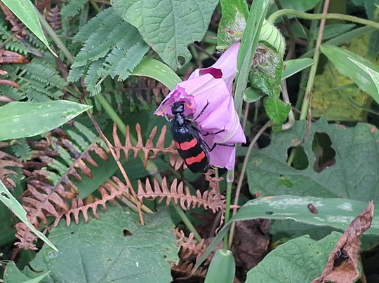 Explore Wildlife Africa-吉佳利必去景点