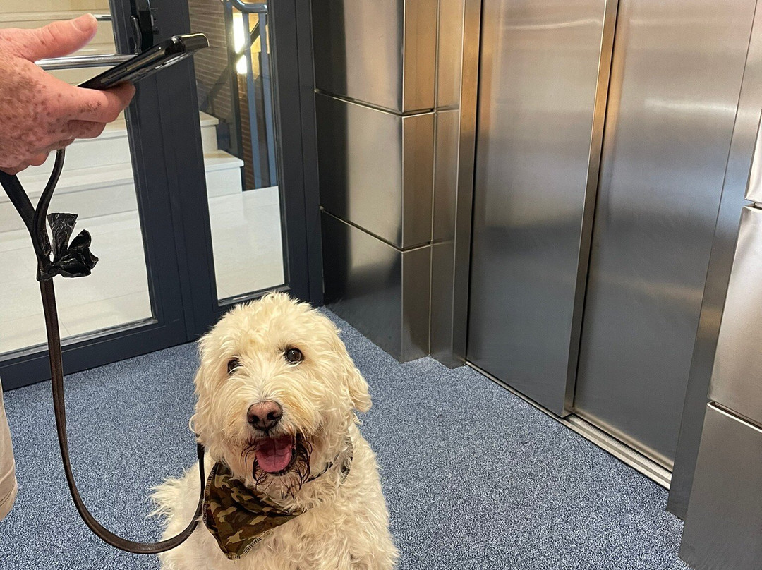 Reston Valdemoro主图