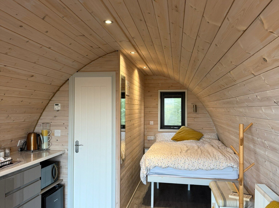 Ballyhemlin Pods主图