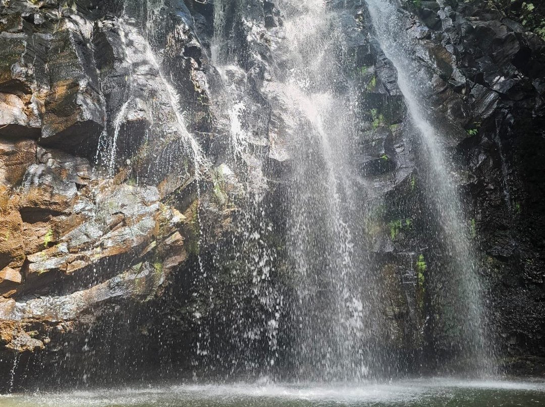 Ellinjaa Falls-Millaa Millaa必去景点