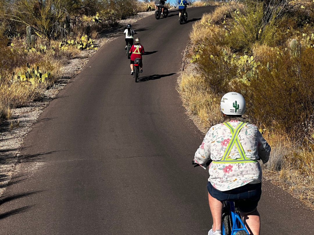 Tucson E-Bike Adventures-图森必去景点
