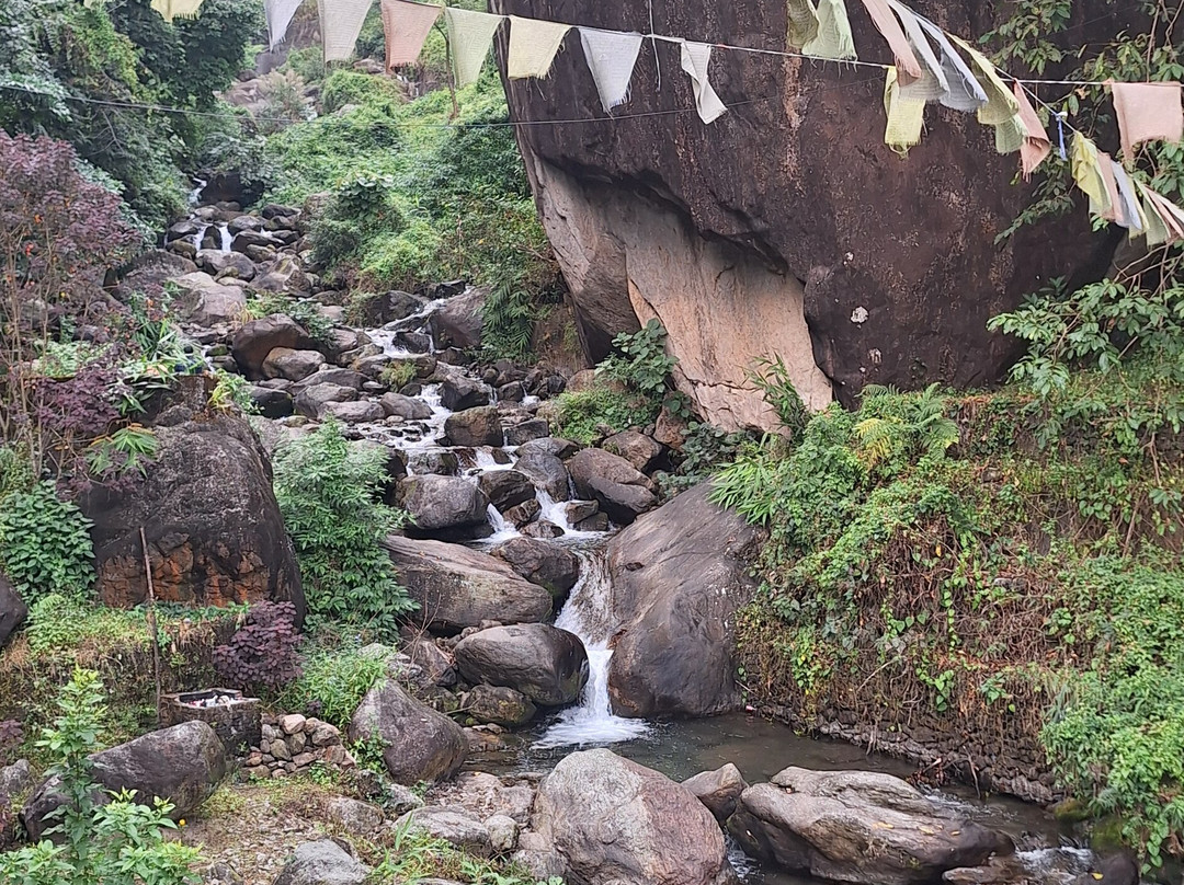 The Reserve Gorumara主图