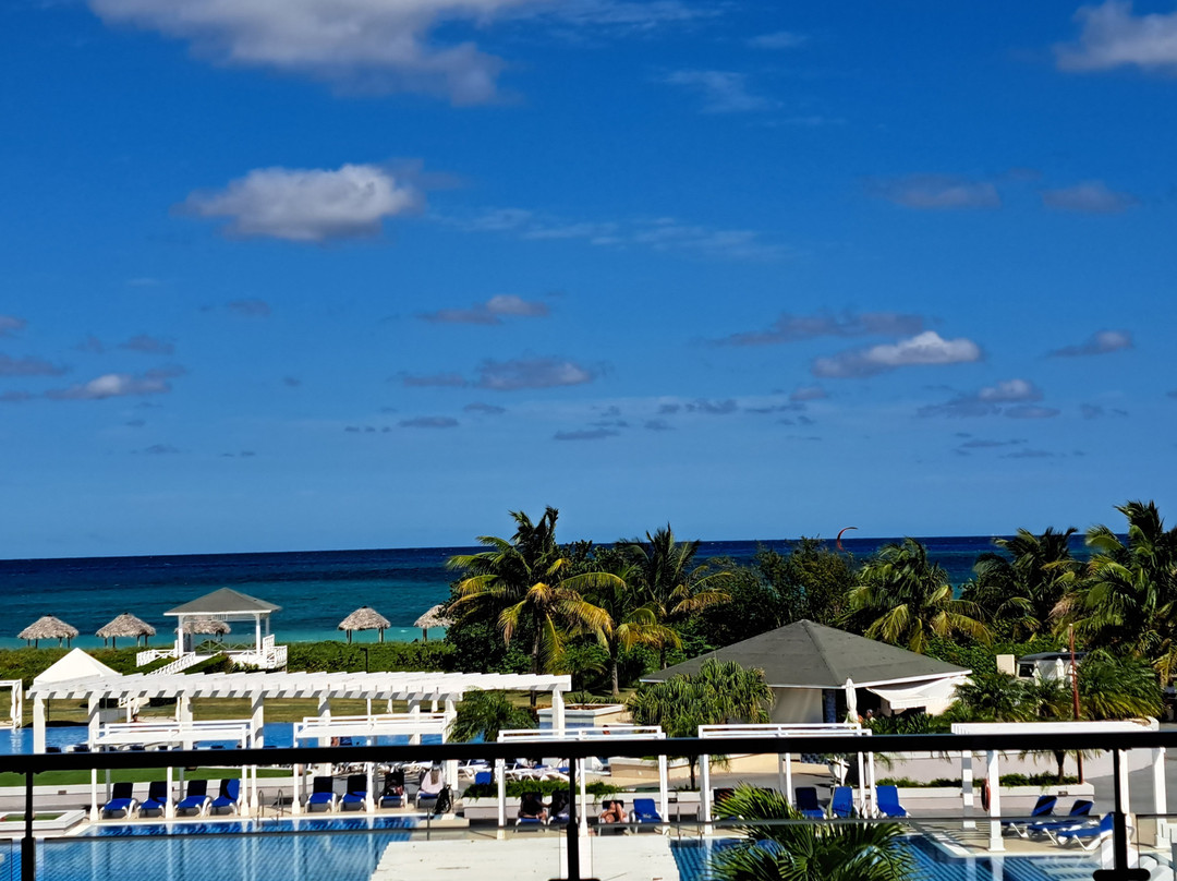 Melia Costa Rey主图