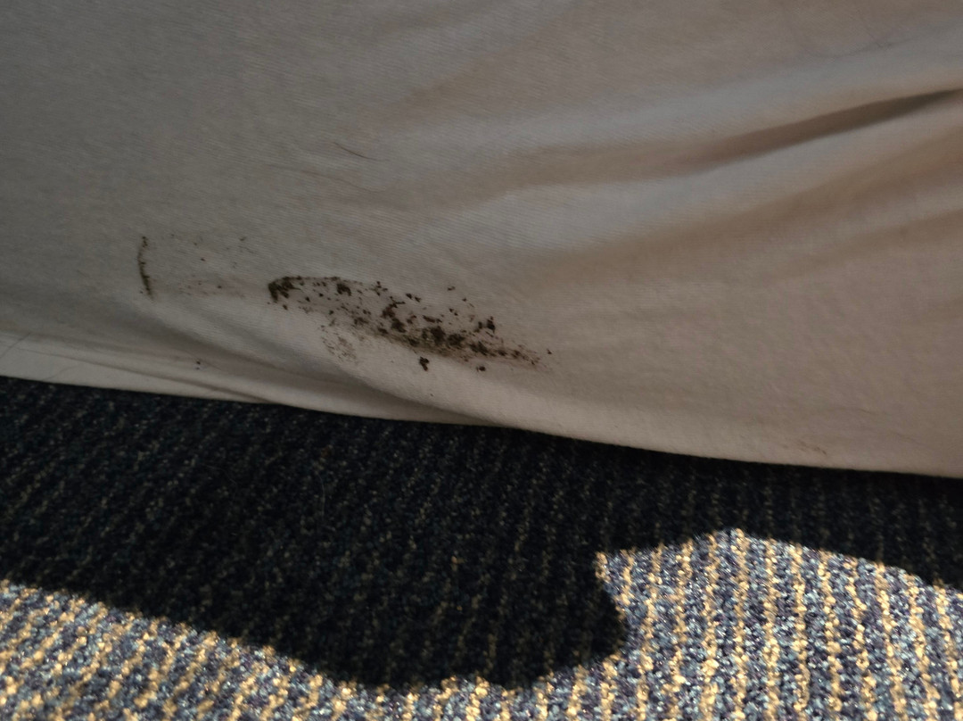 Travelodge Bristol Emersons Green主图