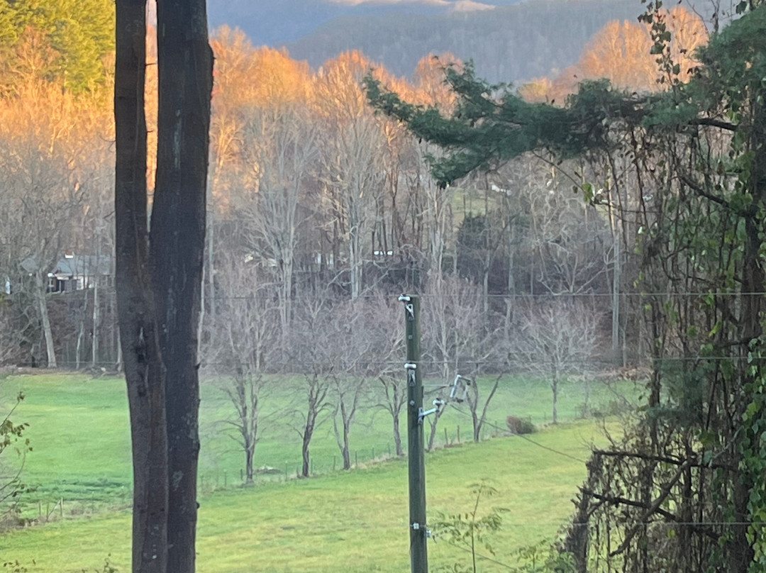 The Yellow House On Plott Creek Road主图
