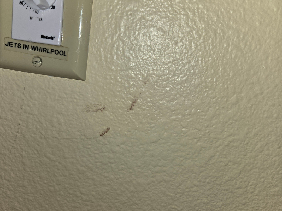 Super 8 by Wyndham Watertown WI主图