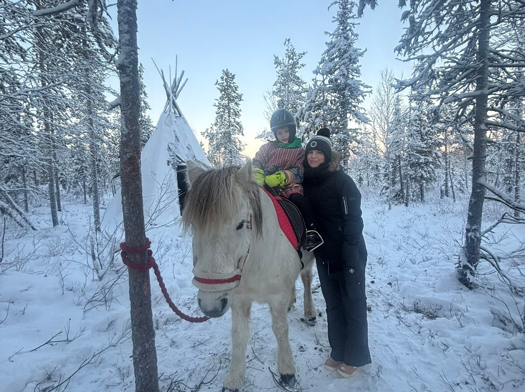 Lapin Saaga Icelandic Horse Stable in Levi-Sirkka必去景点