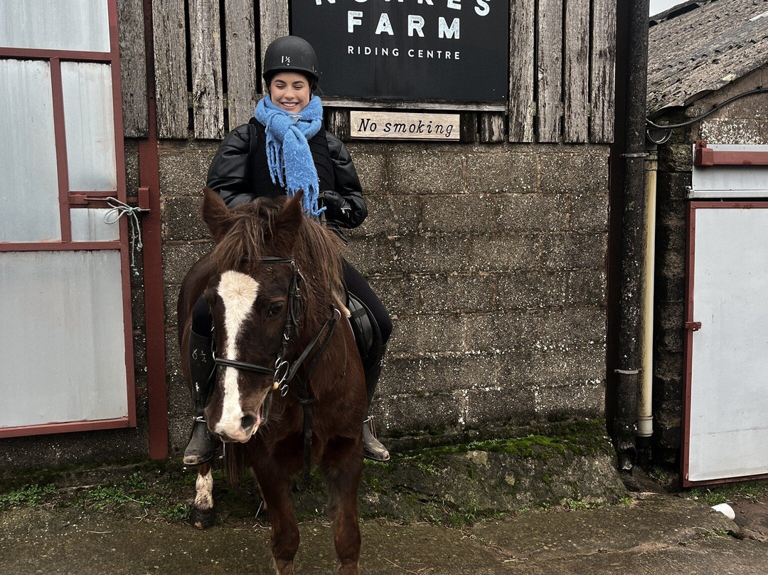 Noakes Farm Riding Centre景点图片