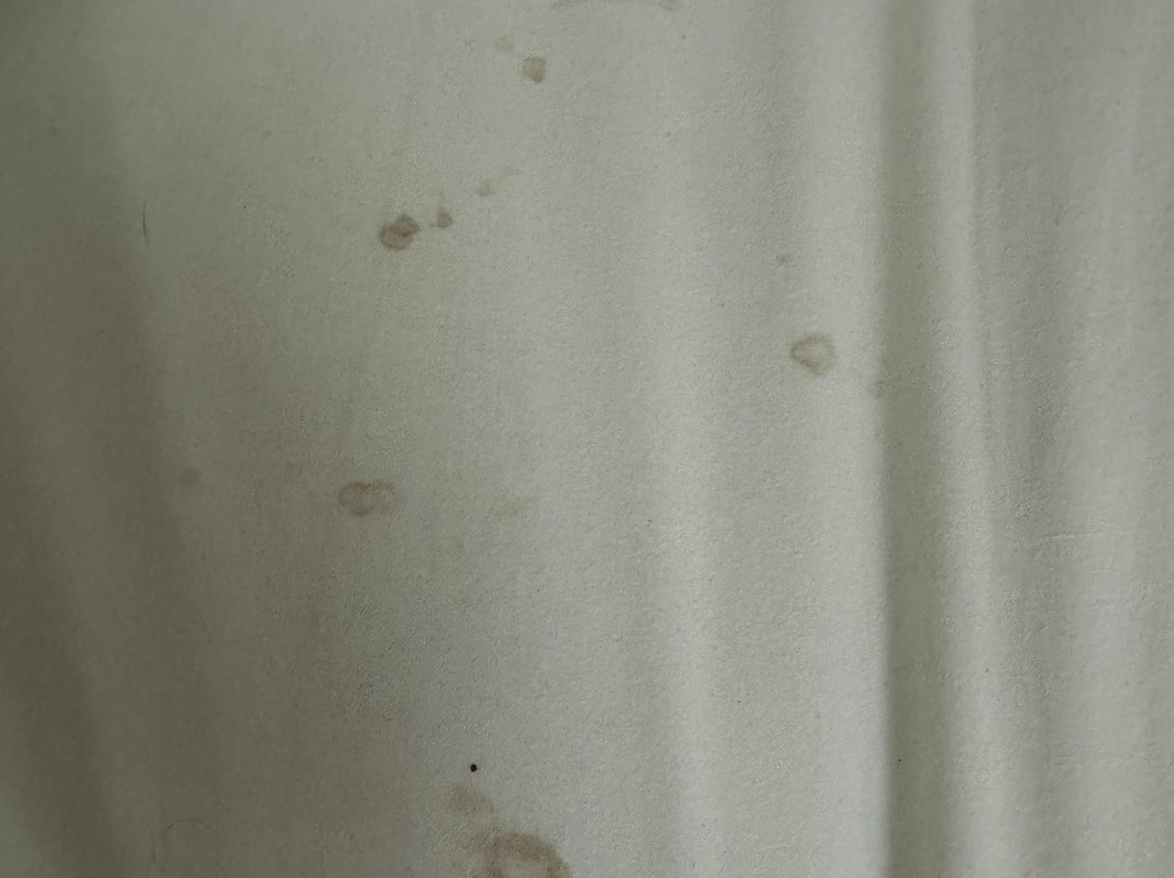 Days Inn by Wyndham Dahlonega主图