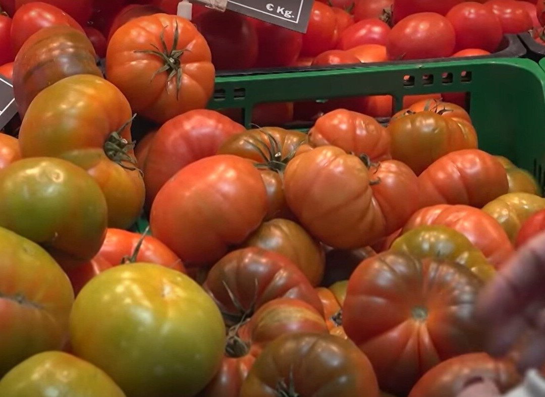 Mercat Municipal de El Prat-埃尔普拉特德略夫雷加特必去景点