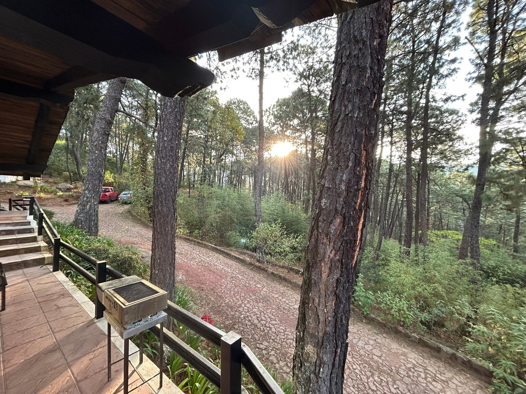 Monteverde Hotel de Cabanas主图