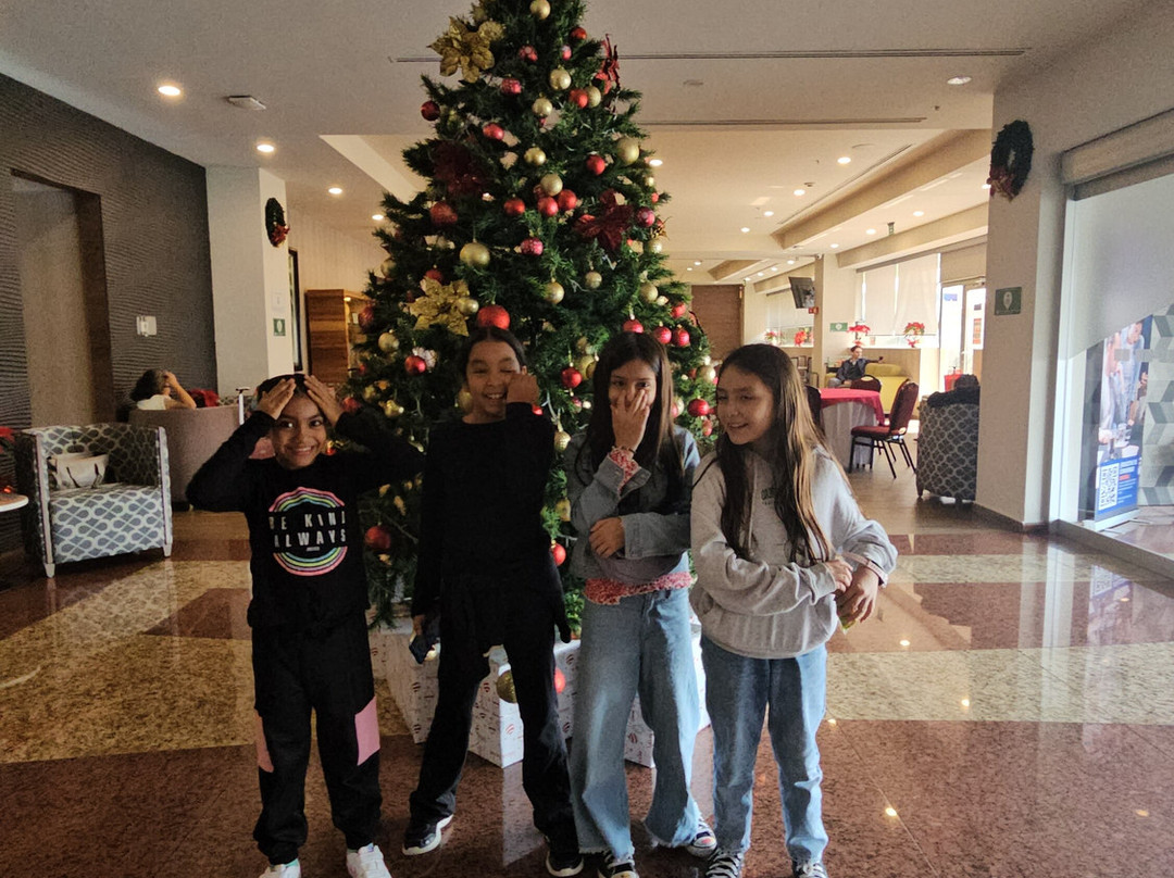 Holiday Inn Express Mexico - Toreo by IHG主图