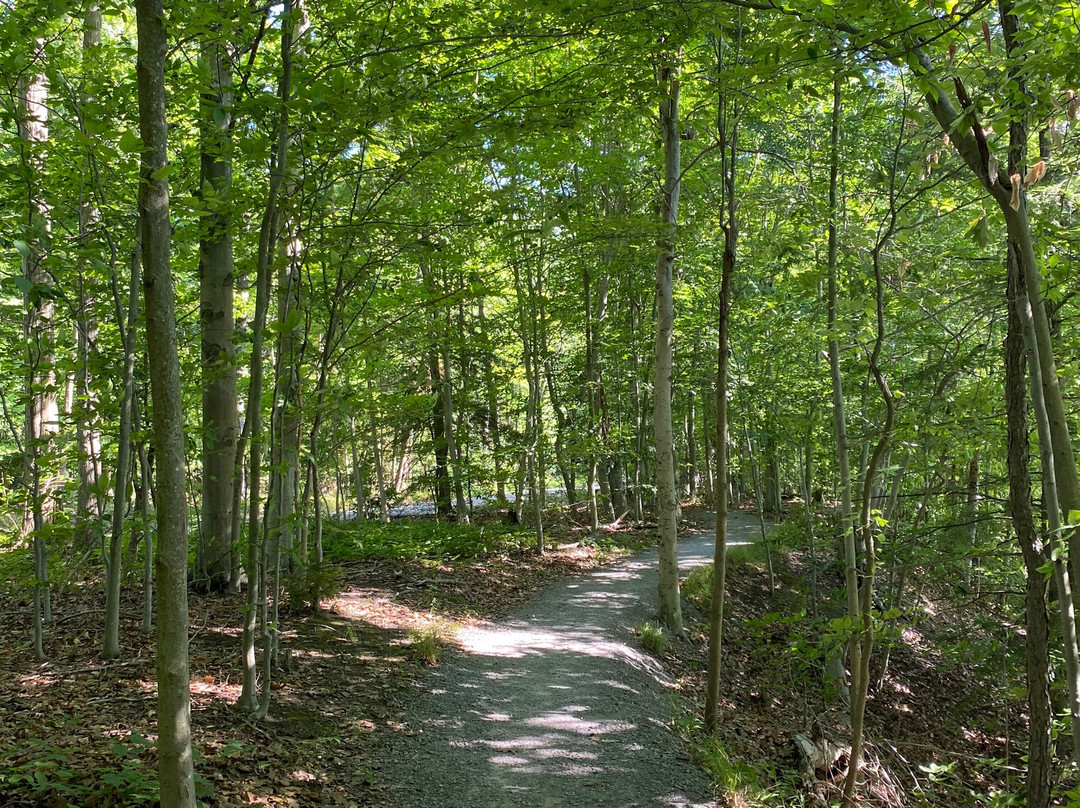 Mill Creek Park-Canfield必去景点