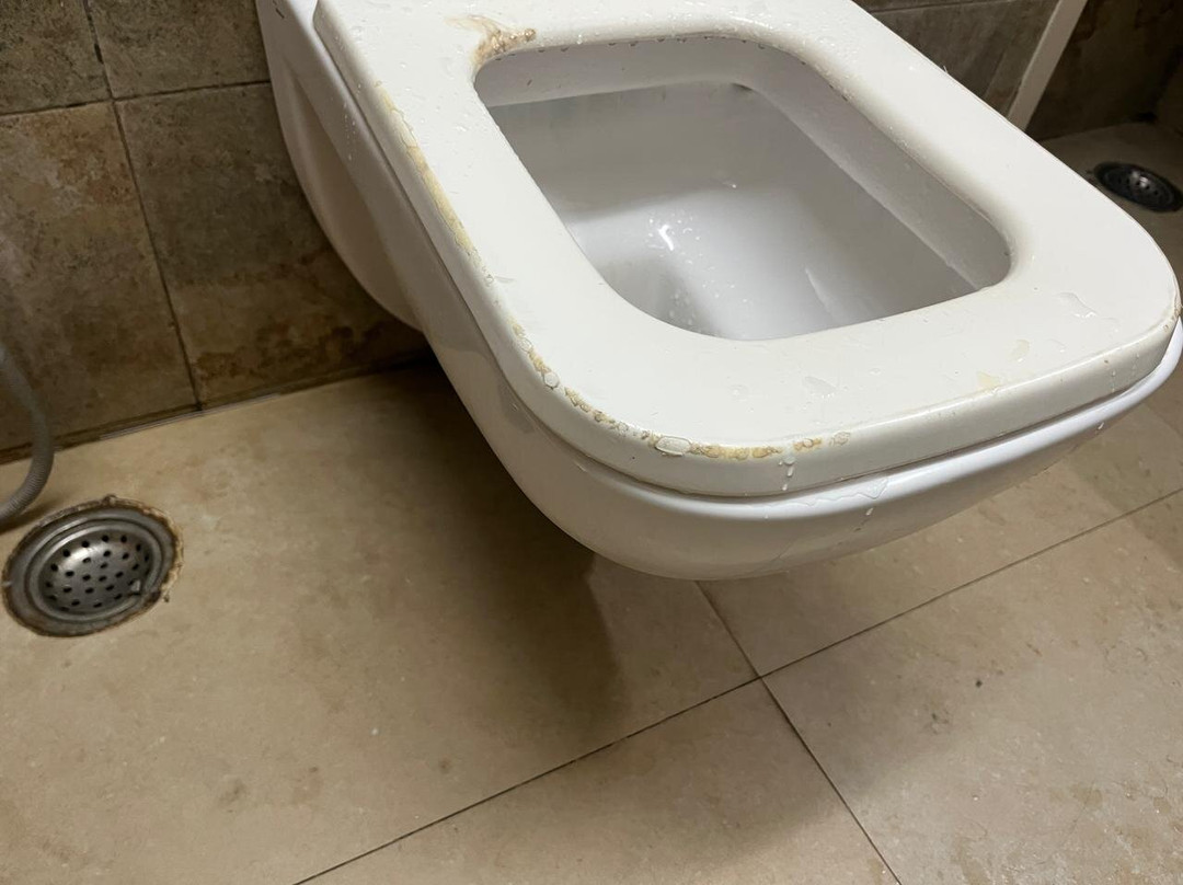 Treebo Trend Lalaji's Executive主图