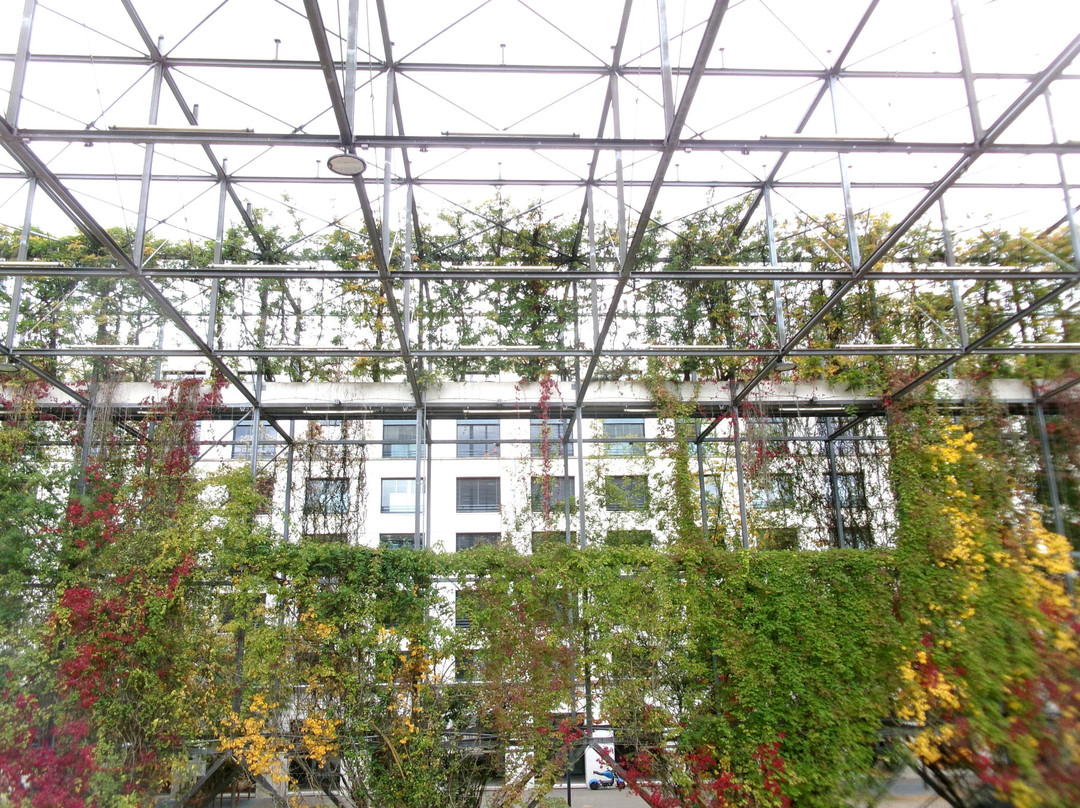 MFO-Park-苏黎世必去景点