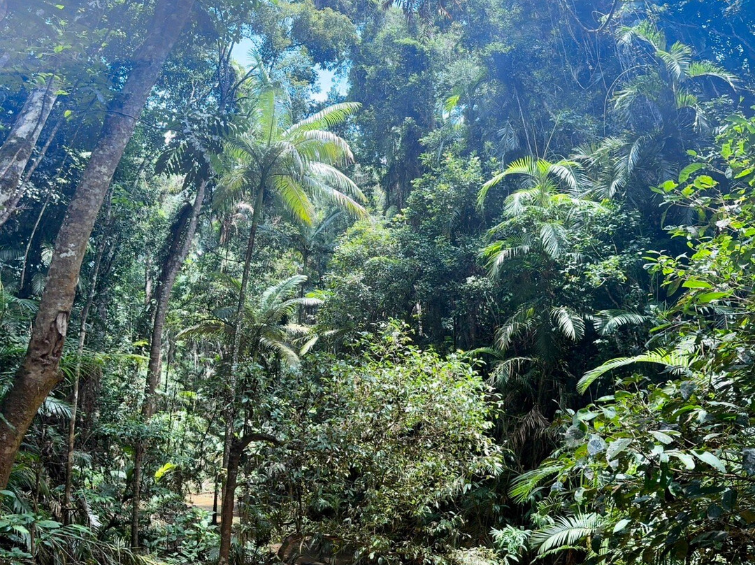 Barron Falls-库兰达必去景点