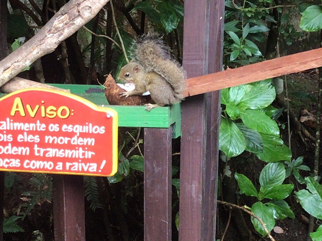 Shopping Center Celeiro-蒙特贝尔德必去景点