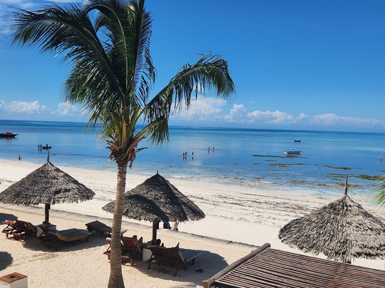 Mody Zanzibar Tours & Safaris-石头城必去景点