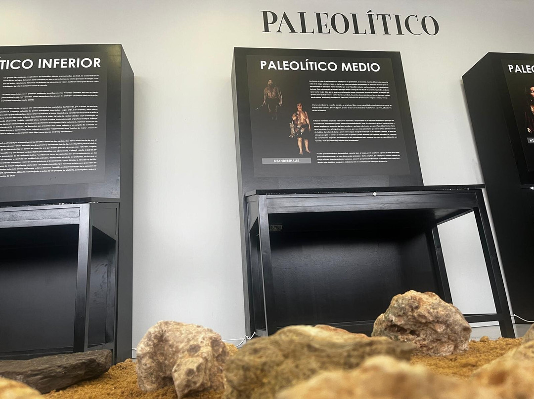 Exposición Arqueológica Municipal景点图片