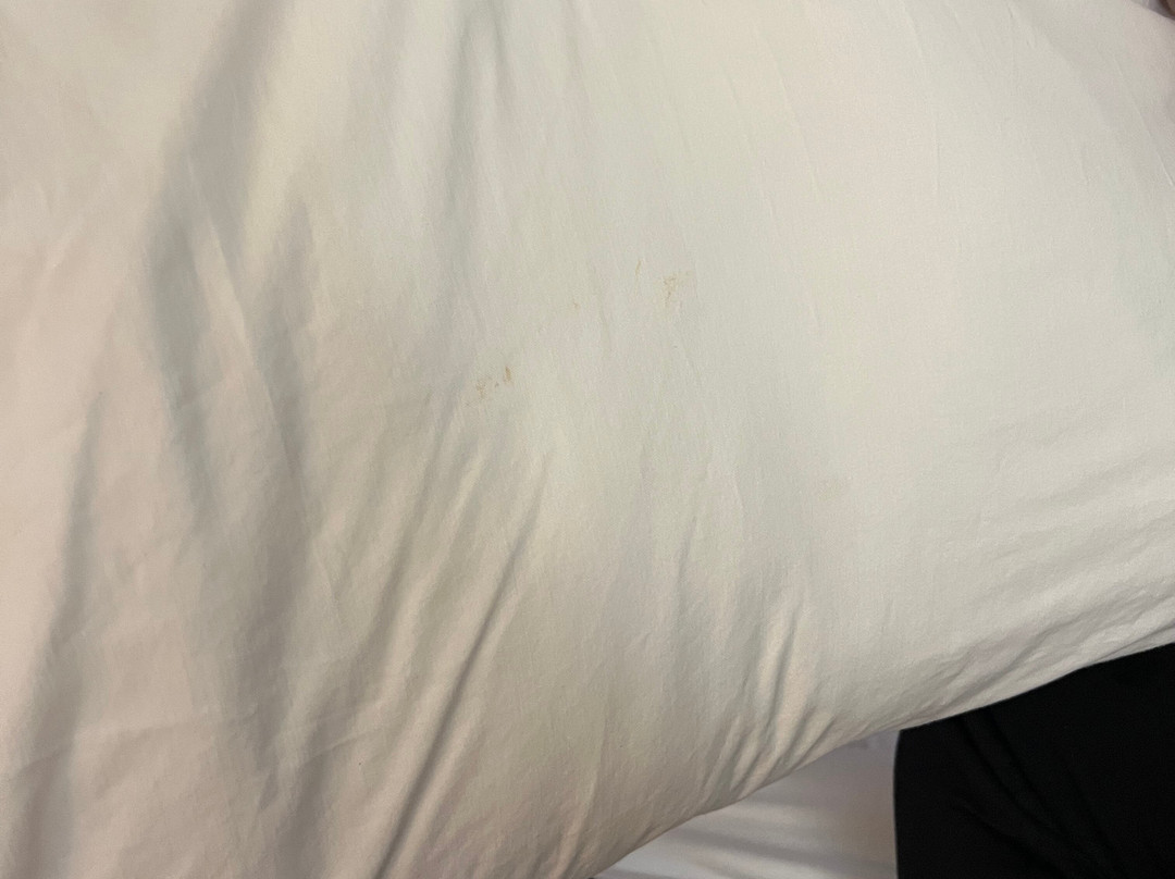 Best Western Gallup West主图