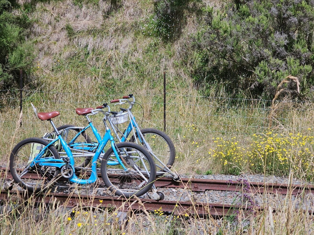 Gisborne Railbike Adventure景点图片