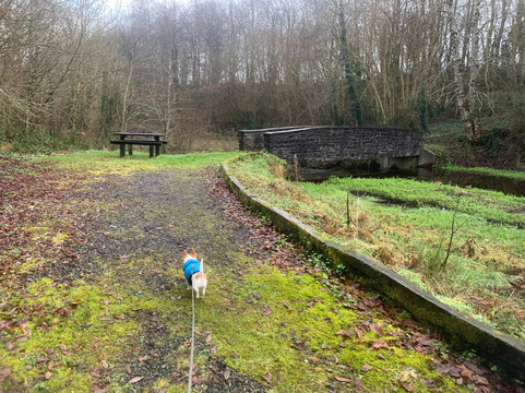 Glinsk Castle-Glinsk必去景点