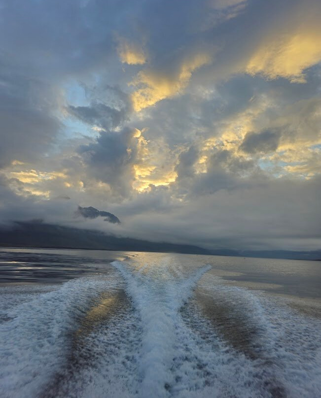 Voxey Trips-Djupivogur必去景点