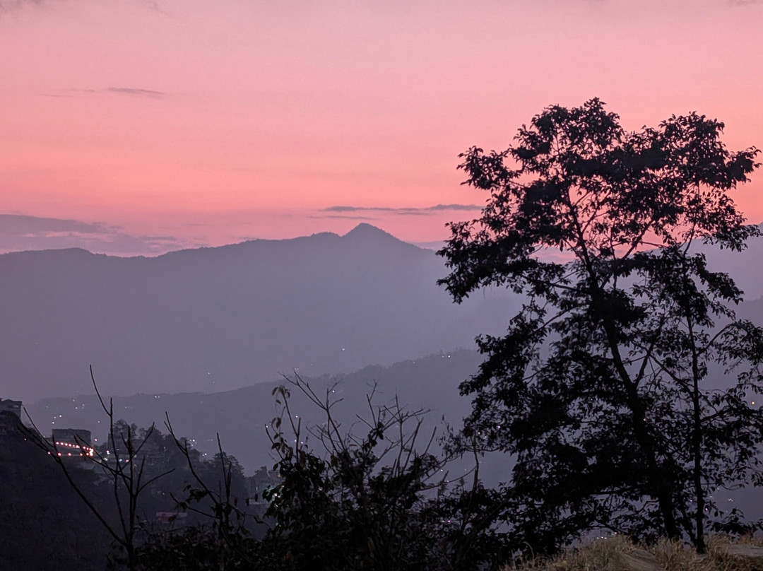 Tree of Life Indra Mandala Hotel, Gangtok主图
