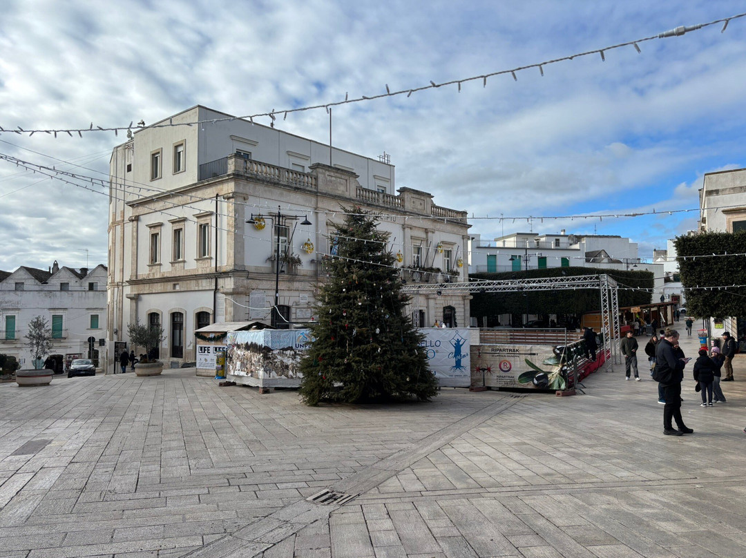 Palazzo Comunale景点图片