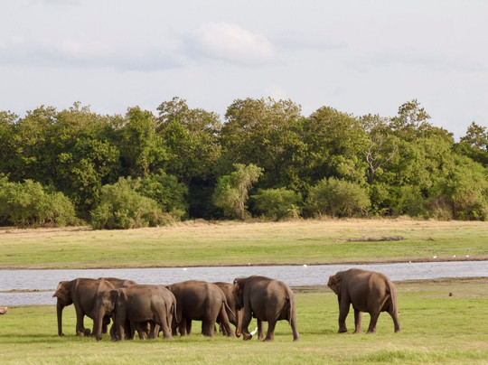 Hai Sri Lanka Tours-科伦坡必去景点