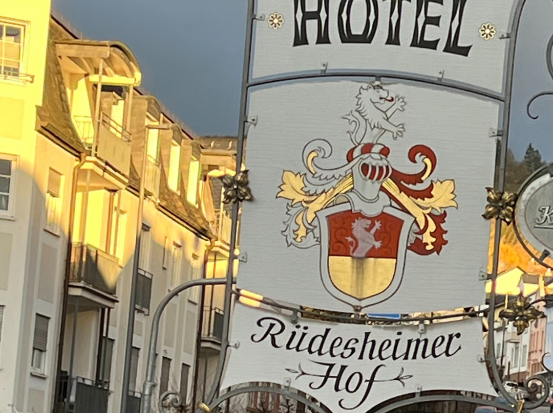 Rudesheimer Hof主图