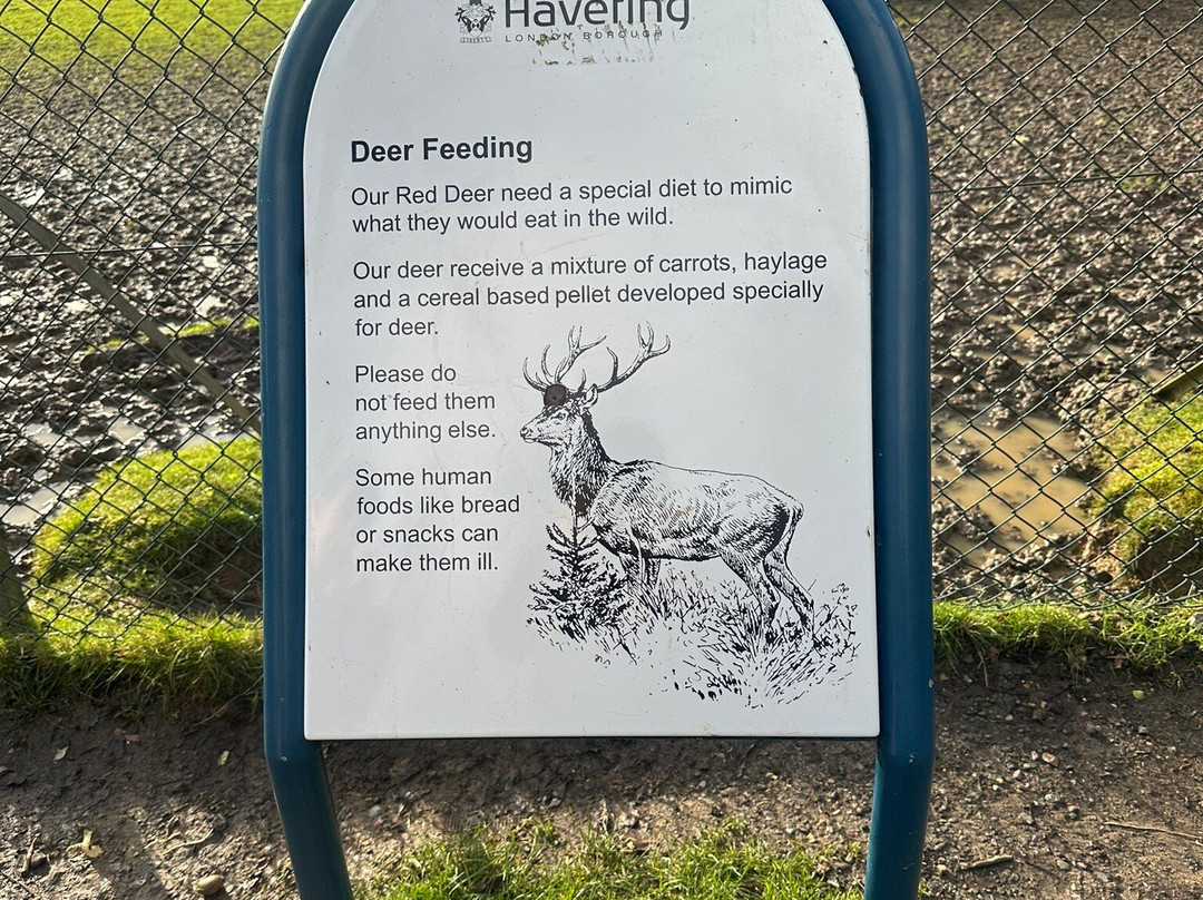 Essex Wildlife Trust Bedfords Park Visitor Centre景点图片