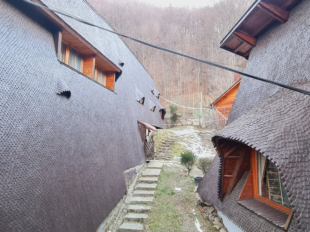 Casa Tisaru