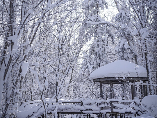 Hello China Trip Harbin-哈尔滨市必去景点