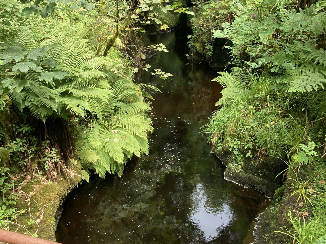Lydford Gorge景点图片