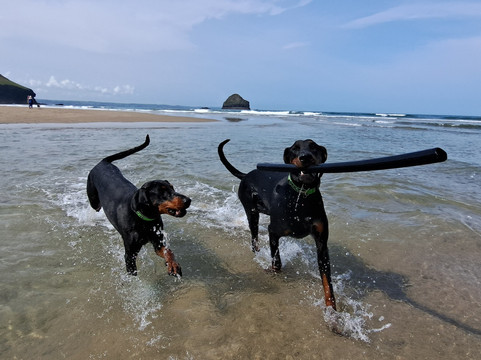 Trebarwith Beach-Trebarwith必去景点