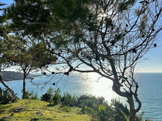 Casa da Guia-卡斯凯什必去景点