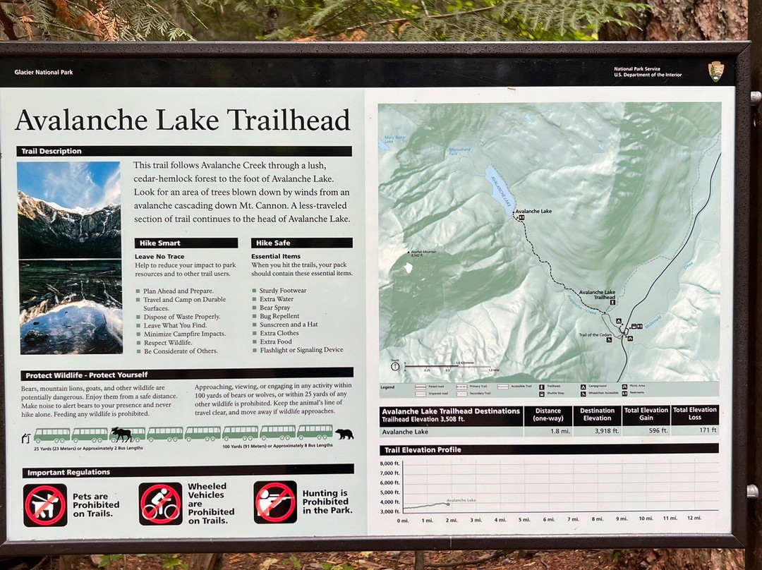 Avalanche Lake-冰河国家公园必去景点